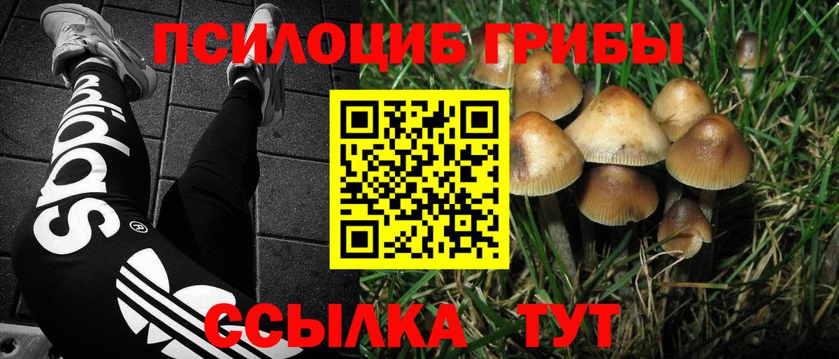 Псилоцибиновые грибы ЛСД  Псилоцибиновые грибы Magic Shrooms  Вход с VPN  Клин 